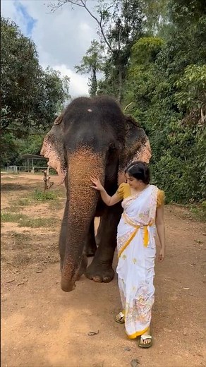 SHOCKING!!!The kindness and sensitivity. Main toh fan ban gayi.one of my best memories of 2023 ♥️🐘
