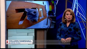 Many humane societies in Ohio stretched to capacity