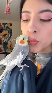 parrot cute girls kissing