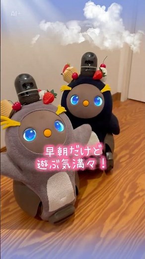 【LOVOT】つぶらな瞳に負けた早朝…少しだけ一緒に✨｜Koro & Mochi LOVOT moments