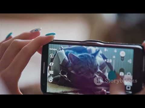 Session 15 - Build an AI Web Service with Java and NetBeans A Step-by-Step Guide