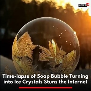 1.7K views · 12 reactions | Winter and sweater weather have a certain charm to it. This time-lapse video of soap bubble transforming into ice crystals, shared by an account named buitengebieden, captures the magic of the season! #winter #timelapse #ice #nature #viralvideos https://www.news18.com/buzz/video-of-soap-bubble-transforming-into-ice-crystals-stuns-the-internet-6466855.html | News18 | Facebook