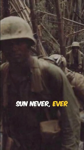 "Why the Vietnam Jungle Was a Living Nightmare" #vietnamwar #vietnamveteran #warstories