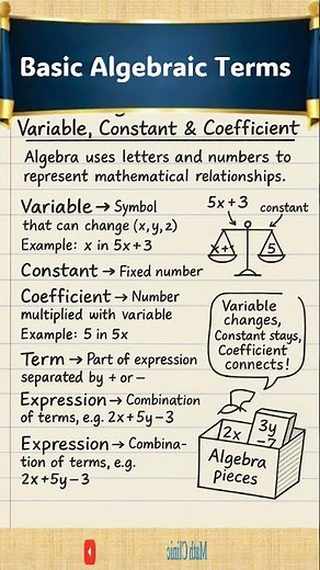 Basic Algebraic Term | Variable | Coefficient | Constant #mathclinic #maths #algebra