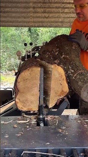 #crazy Wood Splitting #skills #firewood #woodwork #shorts #woodcutting
