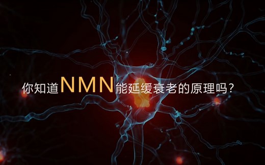 读懂NMN：NMN抗衰老的科学原理