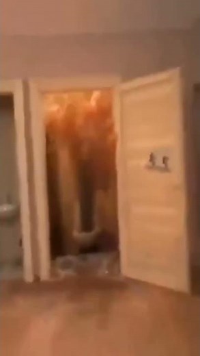 man blows up toilet with coke and mentos