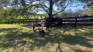 We’ve got a full house this weekend but we were all happy to just relax and enjoy farm life together at a slow Sunday pace today. An early but slow morning, feeding the animals, rolling green hills, warm fires and snuggling up together. #farmlife #weekendsatthefarm | Doggy Daycare Farm Trips