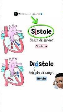 sístole y diástole #salud #anatomiafacil