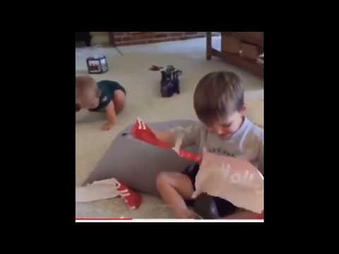 Avocado Socks It's An Avocado, THANKS