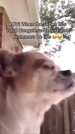 Congolese Seben Music Reaction: Sorry Joel Got What He Deserved!