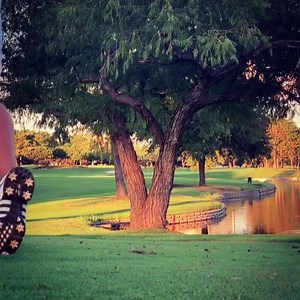 1.6K views · 15 reactions | Keep your eye on the flag ️⛳ | The Golf Factory | Facebook