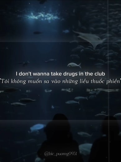 Nhạc Chill - Normal No More Song