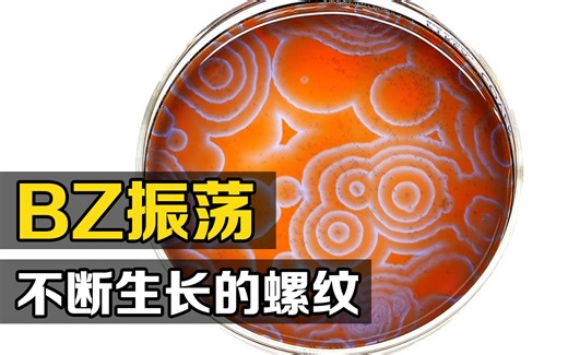 “BZ振荡”是什么？把溶液倒进培养皿中摇晃，有趣的现象发生了