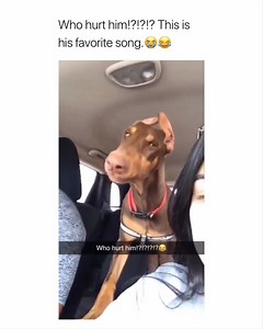 2.4M views · 46 reactions | wait for it | The Best Fails | Facebook