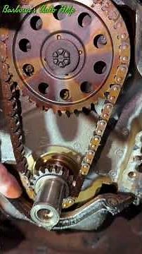 Great Example of Excessive Timing Chain Deflection 04 Ford Ranger 3.0