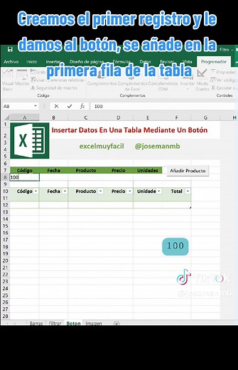 Insertar datos en una tabla con un botón en Excel