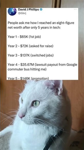 The most unexpected way to reach an eight-figure net worth #snowypawshorts