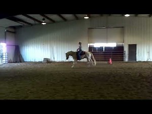 Color My Investments