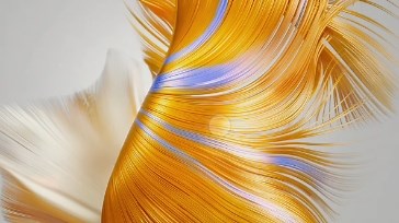 华为智慧搜索，在哪关嘞？