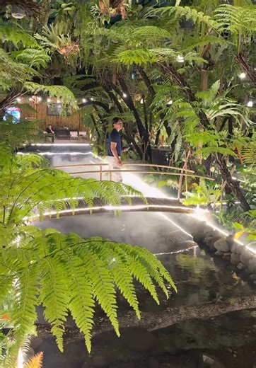 ទើបមានតែមួយនេះទេមើលទៅ😲 ហាងកាហ្វេដែលផ្ដោតលើការរៀបចំបែបធម្មជាតិសម្បូរដោយដើមប៉ប្រកមានទឹកធ្លាក់សួនសត្វអីនៅក្នុងនឹងទៀតណាស់💚🍀#facetaste