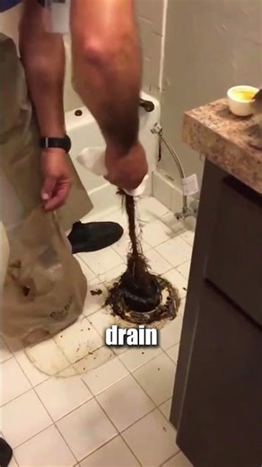 This is why willow trees are Dangerous ! 😨