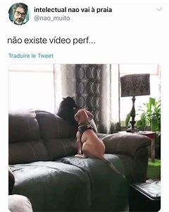 Memes Twitter on Reels