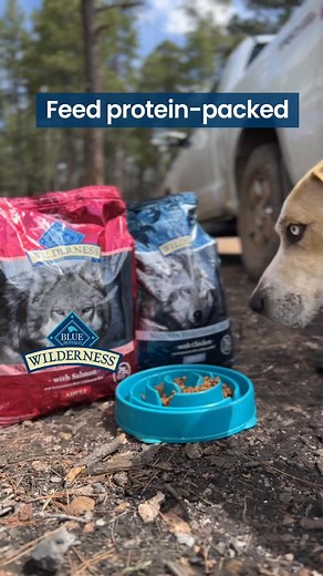 BLUE Wilderness is a powerful food for active dogs who demand a protein-packed diet. | Blue Buffalo | Facebook