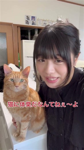 多頭飼育あるある