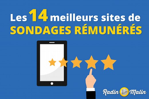 Les 14 meilleurs sites de sondages rémunérés (15€ pour vous) · Radin Malin