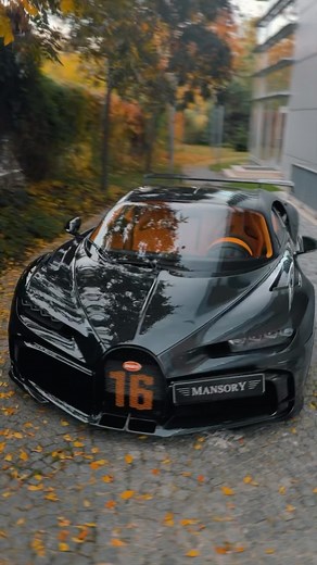 Mansory CZ on Instagram: "Bugatti Chiron Pur Sport 😍 #bugatti #bugattichiron #chiron #bugattichironpursport #luxury #luxrylife #luxurycars"