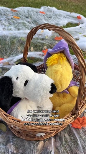 boo crew snoopy or wizard woodstock👻? | Warmies USA