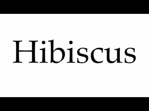 How to Pronounce Hibiscus