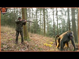 How Hunters Take Down Rogue Baboons in South Africa’s Harsh Terrain | Wild Boar Hunting