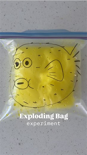 Rozanne | Bright Little Brains | SAVE this exploding bag experiment! 🐡 You’ll need: 1. A resealable bag 2. Alcohol (to remove the label) 3. A permanent marker 4. Warm... | Instagram