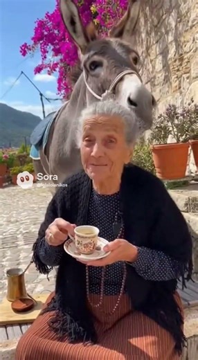 😂😂 #ai #humor #greek #funny #memes #greekcomedy #viral