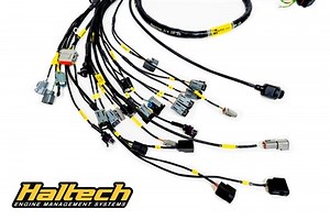 K-Series Haltech (8 Injector) Engine Harness