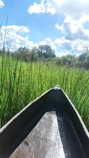 "Delta Time" #rgspoetry #botswana