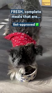 179K views | Fresh food is served straight from the fridge not forgotten on a shelf. Feed your dog a fresh diet and fetch 25% off your first two boxes now: butternutbox.com/realfoodresults25off. | Butternut Box | Facebook