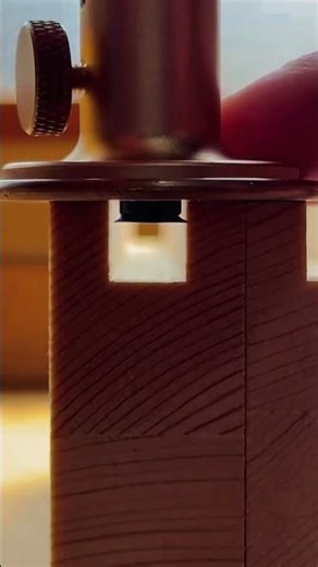 The Secret That Turns Wood Into a Puzzle #shorts #wood