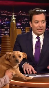 He’s not a trained dog. And he has so much talent. | Icons