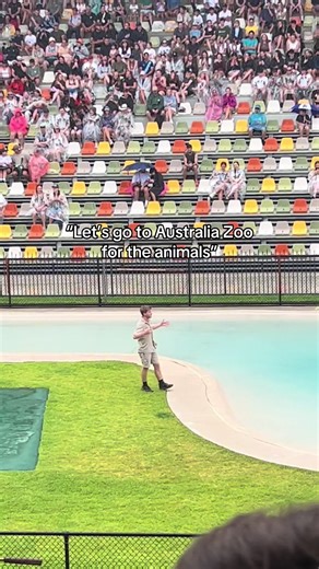 Explore Australia Zoo's Amazing Wildlife Experiences