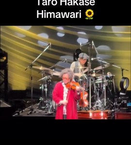 大寒波が襲来するようです。 ひまわり🌻聞いたら 少し身体が温まるかも♨️ 皆さま、風邪をひかないように気をつけてください〜 #葉加瀬太郎 #tarohakase #fyp #violin #music