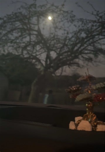 Understanding the Chakra Tree: Energize Your Life