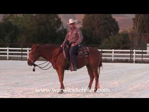 Horse Training - Rearing and Destination Addiction with Warwick Schiller