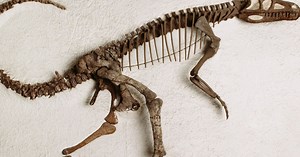 ¿Qué acontecimientos definieron al Triásico?