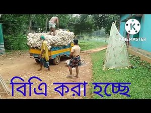 The easy way to process and butcher chicken / Pat Soukano/