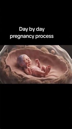 Day by Day Pregnancy Development | Baby Growth Inside the Womb | Pregnancy Explained