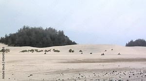 Off Highway Vehicles at the Umpqua Sand Dunes, Winchester Bay, Oregon
