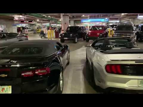 ALAMO MIAMI AIRPORT CAR RENTAL CABRIO AND PREMIUM SUV ROW